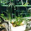 HYROOY Aquarium Accessory, Transparent Acrylic, Tube Shape, Diffuser for Fish and Hydroponics CO2 view 2
