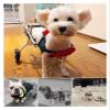 HEIDOUOZ Dog Wheelchair, 2-Wheel Cart for Dogs with Hind-Leg Disabilities, Size XS LW view 3