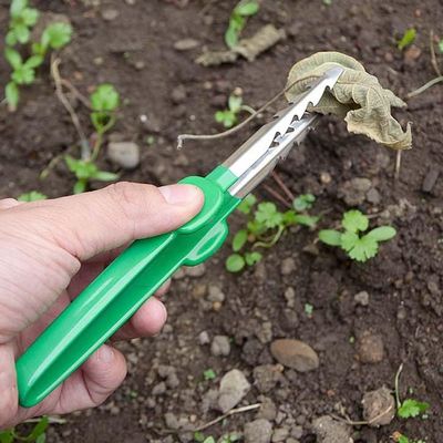 Stainless Steel Reptile Feeding Tweezers