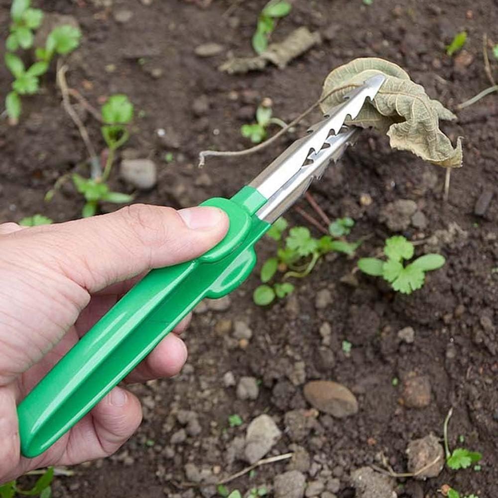 Stainless Steel Reptile Feeding Tweezers