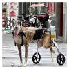 HEIDOUOZ Dog Wheelchair for Rear-Leg Support, Medium view 2