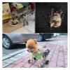 HEIDOUOZ Dog Wheelchair, Full-Support Rehabilitation Cart, Small view 3