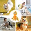 Salyeeluly Squeaky Dog Toy view 4