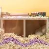 Hamster 2-Chamber Tunnel Habitat view 3
