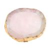 Resin Nail Art Palette, Professional Color Mixing Palette for DIY Manicures, Gold Rim for Mixing Nail Art Colors view 1