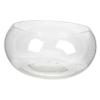 Generic Glass Fish Bowl, Aquarium Bowl, Vase and Plant Terrarium view 1
