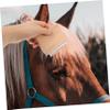 Metal Horse Grooming Brush for Removing Hair and Mud view 2