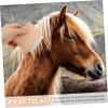 Metal Horse Grooming Brush for Removing Hair and Mud view 3