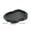 ABS Resin Reptile Bowl view 4