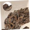 4-Piece Reptile Cork Bark Decoration view 3