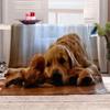 KQYLBM Plush Fleece Dog Blanket, 130 x 150 cm, Winter Cozy Sofa Throw view 1