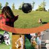 Giggle Sound Dog Toy view 4