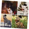 HAPINARY 2-Piece Pet Hat and Bow Tie Set view 4