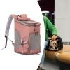 Foldable Ventilated Pet Carrier Backpack for Cats and Small Dogs, Orange view 3