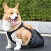 Adjustable Dog Sling for Injury Recovery and Rear-Leg Support view 4