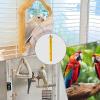 Flat Bird Perches for Cages view 4