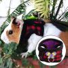 Akozon Guinea Pig Harness and Leash, Chinchilla Walking Vest with Leash for Squirrels and Hamsters, Red Plaid and Purple Heart, Size S view 1