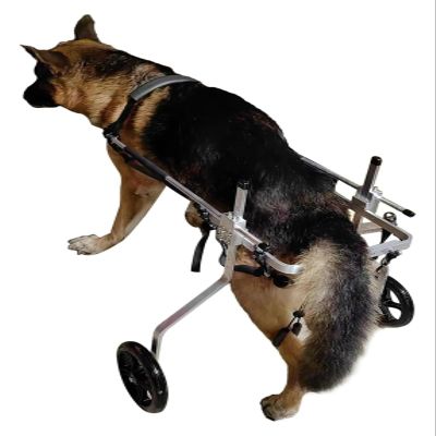 DXYOYONGOZ Dog Wheelchair with 2 Wheels for Paralyzed Hind Legs, Aluminum, Size L