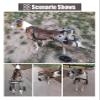 DXYOYONGOZ Dog Wheelchair with 2 Wheels for Paralyzed Hind Legs, Aluminum, Size L view 4