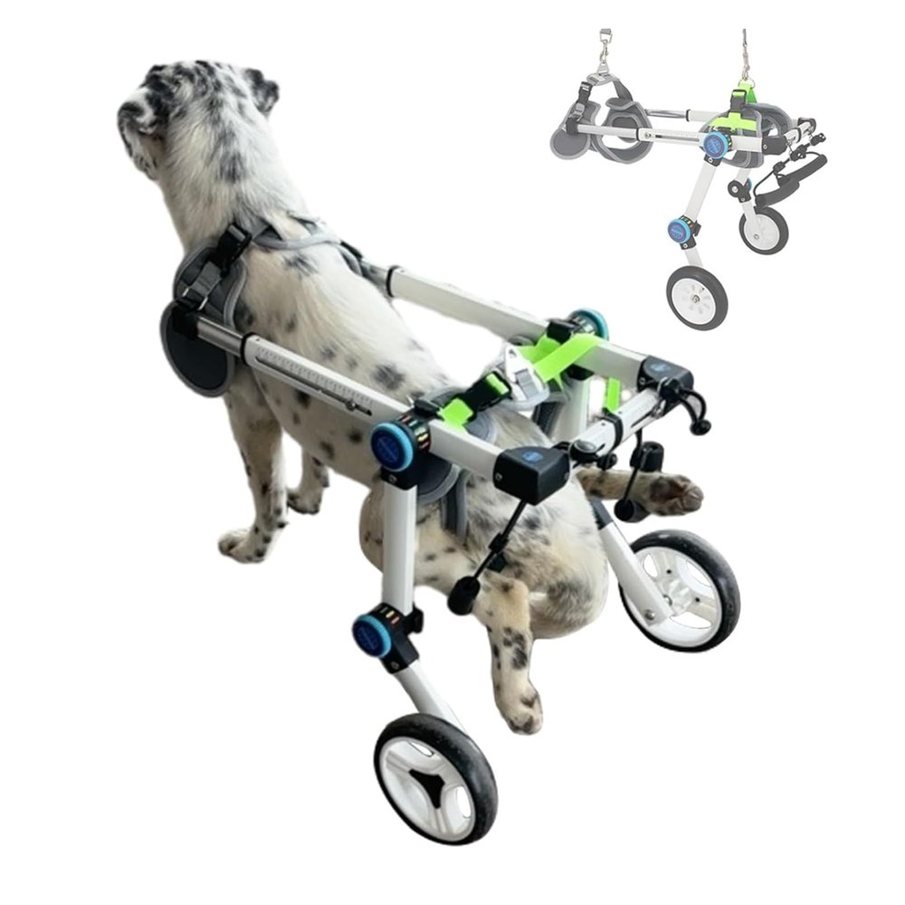 DXYOYONGOZ Dog Wheelchair, Aluminum Pet Mobility Cart with Harness and Leash (Size M)