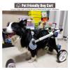 DXYOYONGOZ Dog Wheelchair, Aluminum Pet Mobility Cart with Harness and Leash (Size M) view 4