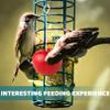 2 Pack Bird Perch with Feeder view 4