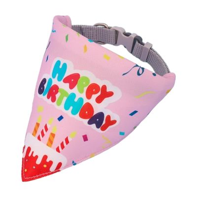 Cat Birthday Hat
