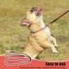 Asuinxurr Braided Faux Leather Dog Leash - S view 2