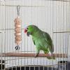 Parakeet Toy, Bird Toy for Caged Birds view 3
