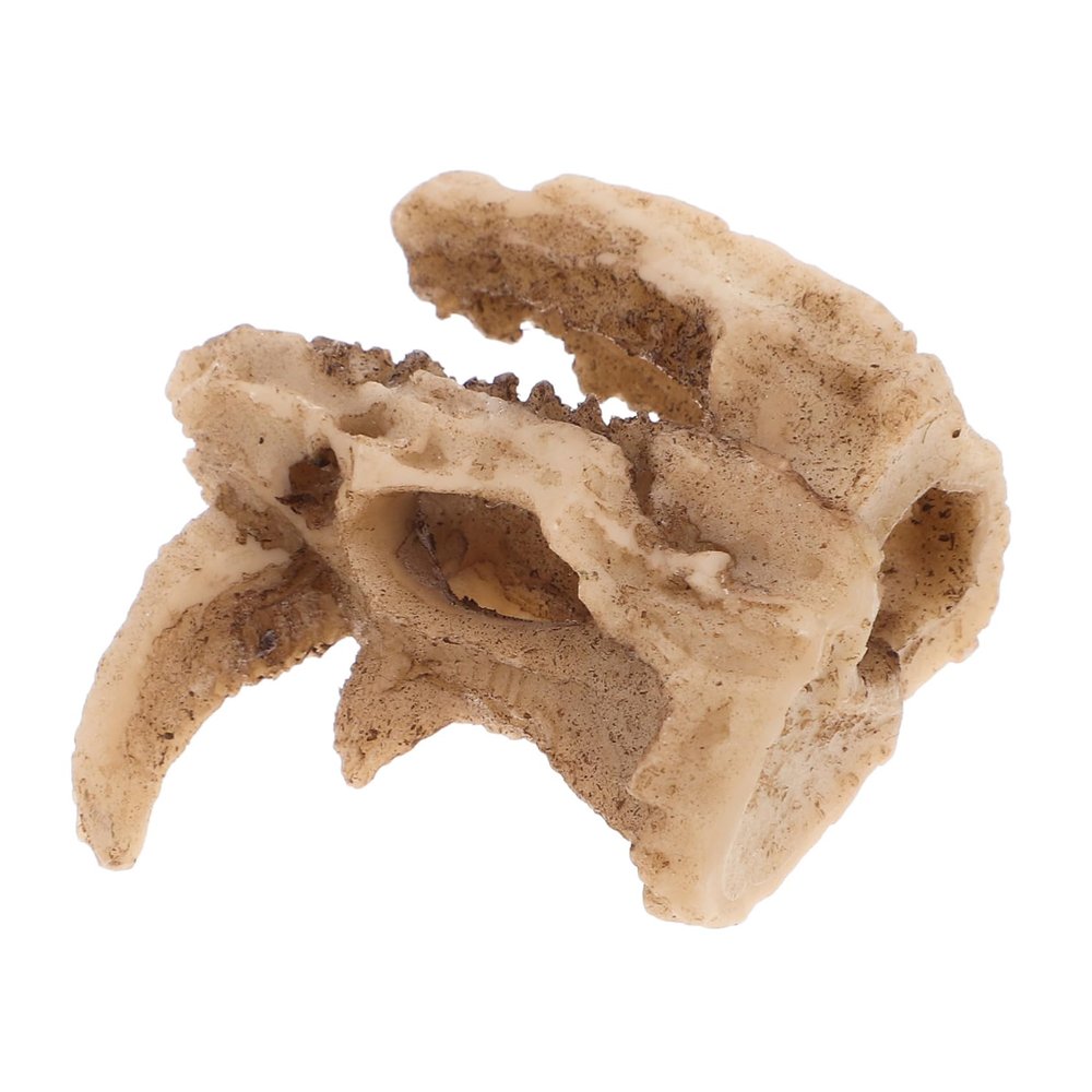 Kisangel Diverse Animal Shelter Resin Skull Cave