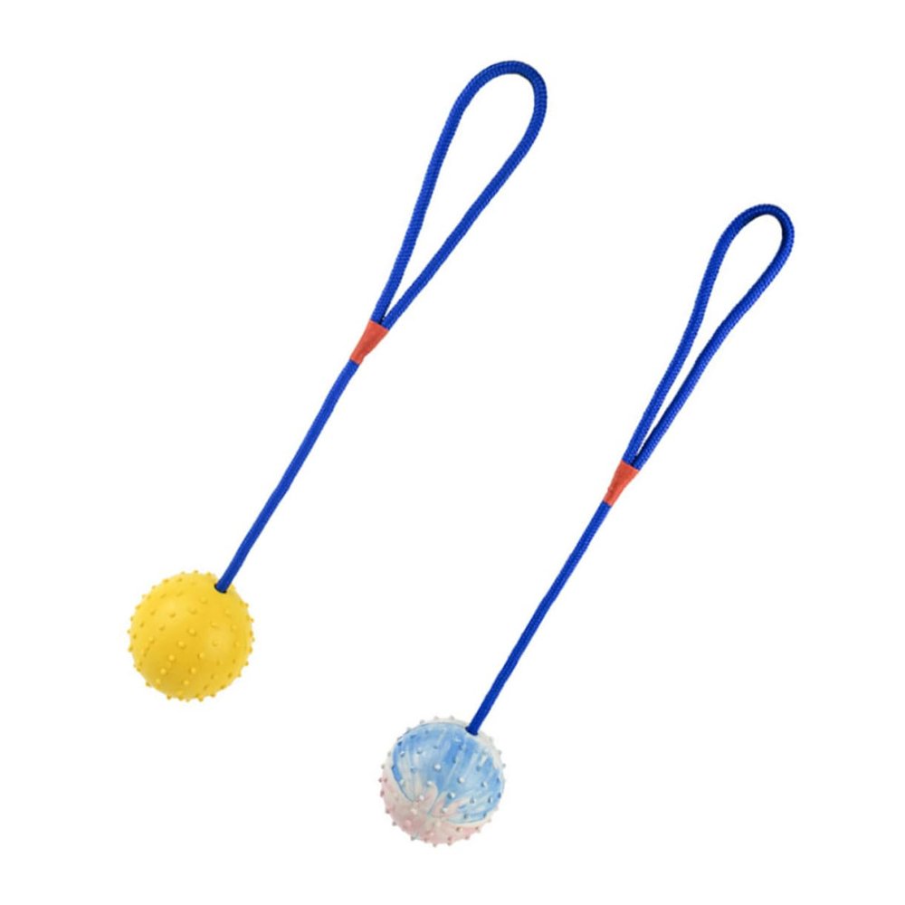 GANAZONO 2-Pack Interactive Chew Toys for Dogs