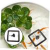 Happyyami Floating Fish Feeder - Square view 4