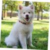 GANAZONO 2-Piece Halloween Pet Collar and Leash Set view 3