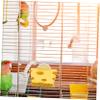 POPETPOP Essential Wooden Bird Perch view 4