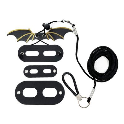 Okeeyseda Lizard Harness and Leash Set