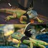 Okeeyseda Lizard Harness and Leash Set view 4