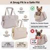 Pet Carrier for Small Animals, Airline Approved view 2
