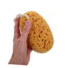 Exfoliating Sponge, 2-Piece Set, for Shower, Bath, and Cleansing view 3