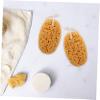 Exfoliating Sponge, 2-Piece Set, for Shower, Bath, and Cleansing view 4