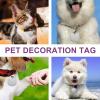 Happyyami 6-Piece Stainless Steel Pet ID Tags, Durable and Stylish, Personalized, Silver Mix view 3