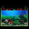 Happyyami Creative 3D Aquarium Background Sticker view 4