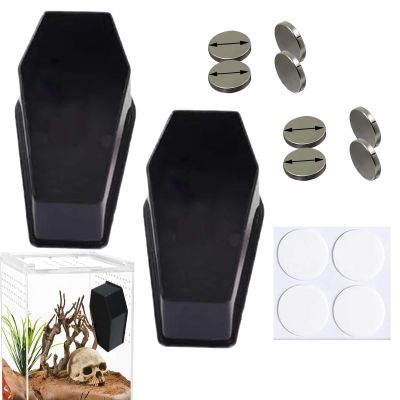 Spider Terrarium Set for Jumping Spiders