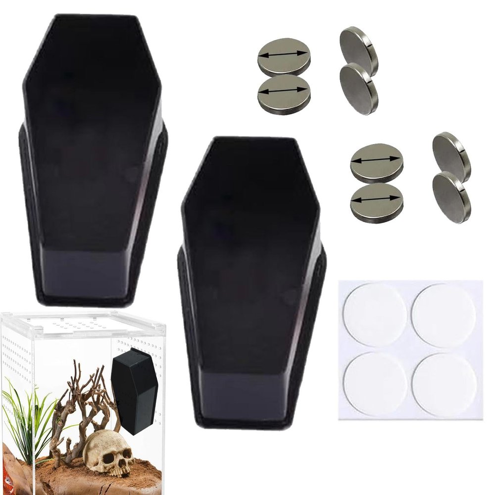 Spider Terrarium Set for Jumping Spiders