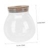 GANAZONO Transparent Glass Aquarium for Plants and Fish view 2