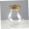 GANAZONO Transparent Glass Aquarium for Plants and Fish view 3