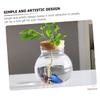 GANAZONO Transparent Glass Aquarium for Plants and Fish view 4