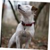 Happyyami Brass Bell Keychain for Pets view 4