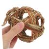 Seagrass Chew Toy for Rabbits, Guinea Pigs, and Hamsters view 3