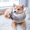 Happyyami Inflatable PVC Recovery Collar for Dogs, Soft and Adjustable view 4