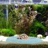 Happyyami Turtle Water Bowl view 3